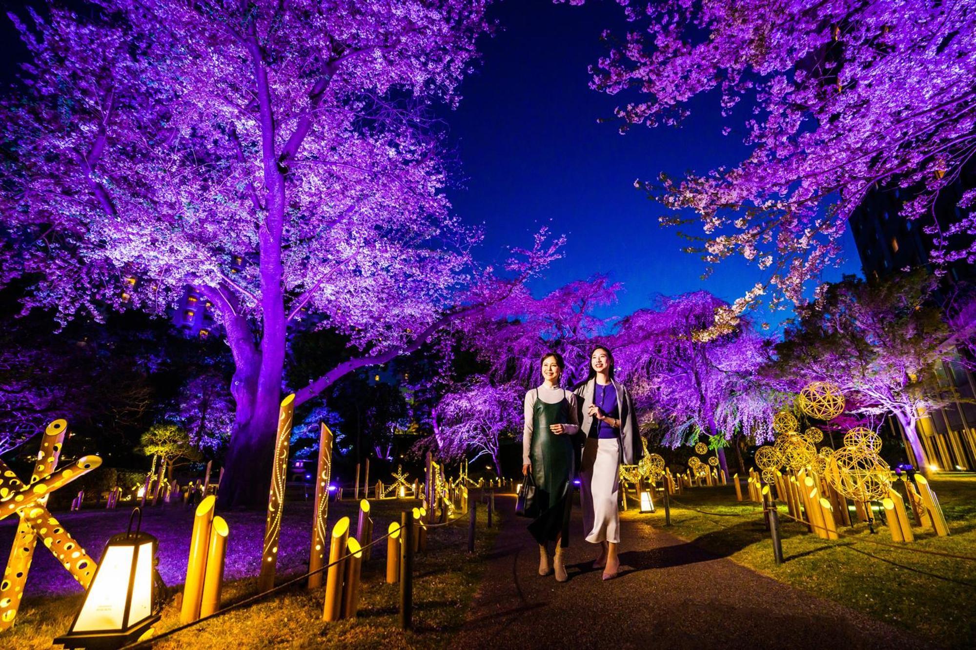 東京都 新高轮格兰王子大饭店酒店 外观 照片 Illumination of the park