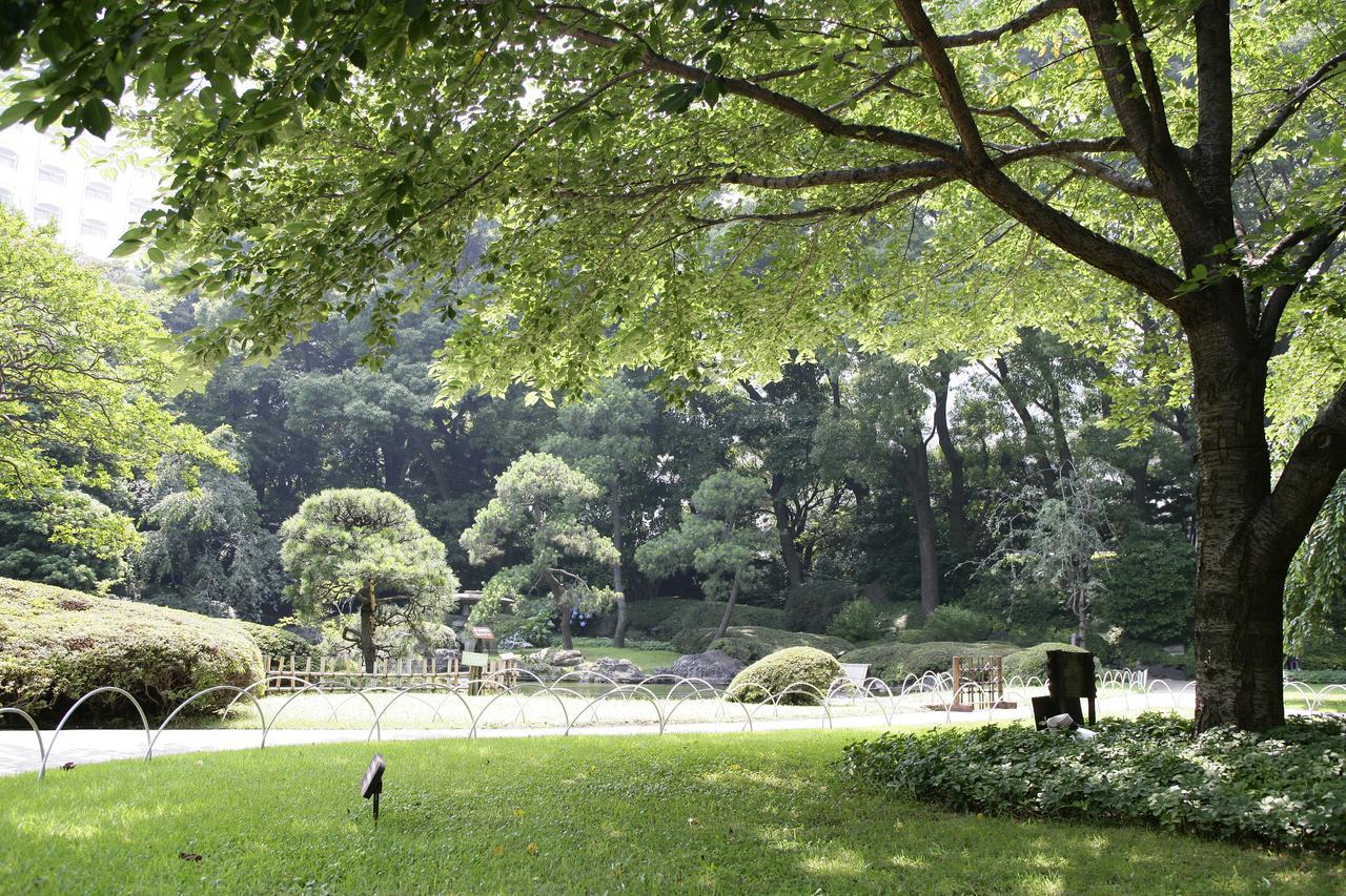 東京都 新高轮格兰王子大饭店酒店 外观 照片 The park